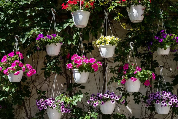 Vasos Flores Coloridas Artificiais Pendurar Parede — Fotografia de Stock