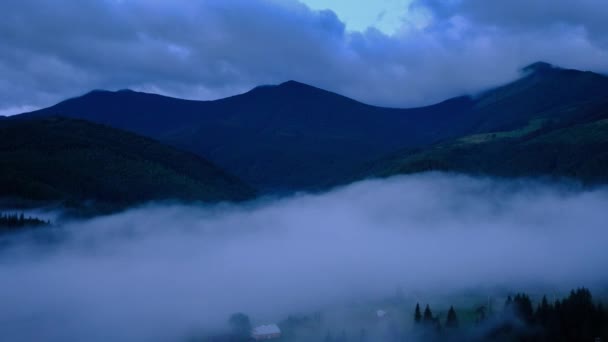 Idő Telik Felhők Köd Fölé Highland Fenyőerdő Ködös Reggel Táj — Stock videók