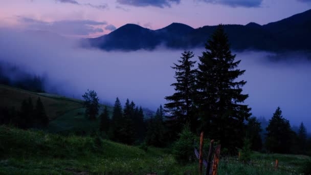 Idő Telik Felhők Köd Fölé Highland Fenyőerdő Ködös Reggel Táj — Stock videók