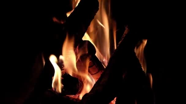 Feuer Brennt Kamin Video Von Flammen Vor Dunklem Hintergrund — Stockvideo