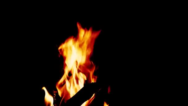 Fire Burning Fireplace Video Fire Flames Dark Background Stock
