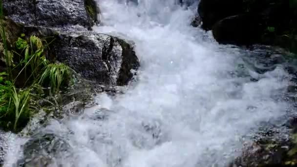 Μικρό Ορεινό Ρέμα Κοντινό Βίντεο Αργής Κίνησης — Αρχείο Βίντεο