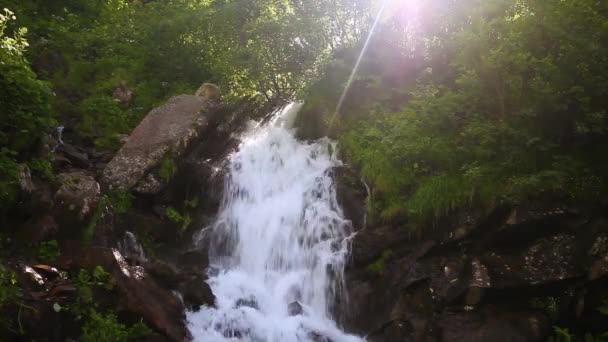 Mountain Waterfall Slow Motion Sunny Day Summer Forest — Stock Video