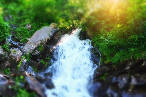 Hızla Akan Kayalarla Dolu Güzel Bir Dağ Yağmur Ormanı Şelalesi — Stok fotoğraf