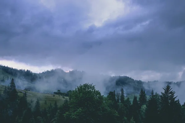 Verde Foresta Pluviale Montagna Maltempo Scuro Nuvoloso — Foto Stock