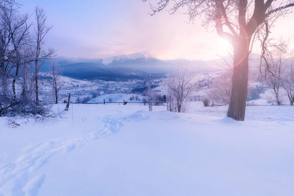 Vinterlandskap Vinterväg Och Snötäckta Träd — Stockfoto