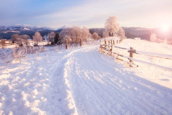 Winter Landscape Winter Road Trees Covered Snow — Stock Photo, Image