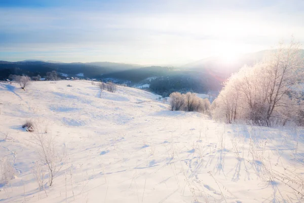 冬季风景 冬季道路和被雪覆盖的树木 — 图库照片