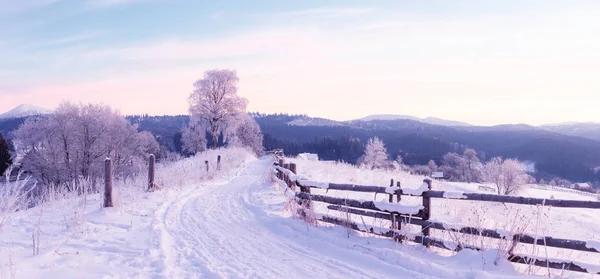 Vinterlandskap Vinterväg Och Snötäckta Träd — Stockfoto