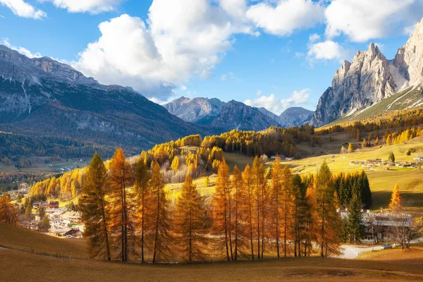 Sunny Autumn Day Alpine Mountains Yellow Larches Backlight — Stock Photo, Image