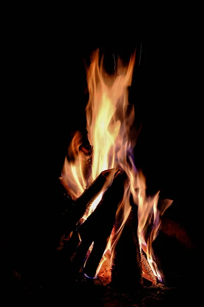 Fire on a black background. Campfire close-up view