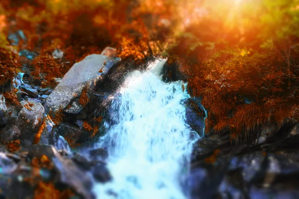 Bela Cachoeira Rio Montanha Floresta Outono Colorido Com Folhas Vermelhas — Fotografia de Stock
