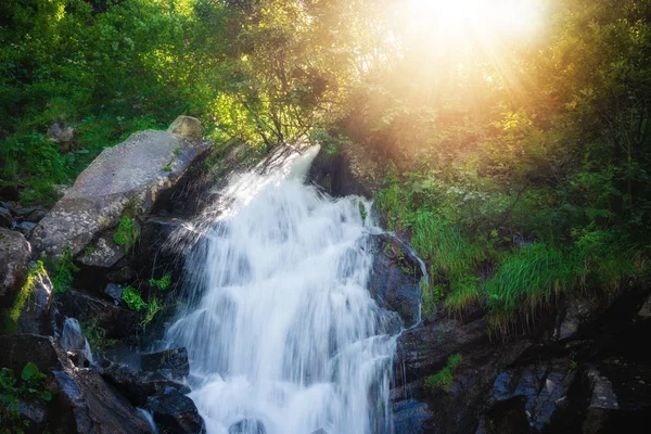 Cascada Bosque Verano Verde Profundo Luz Del Sol —  Fotos de Stock