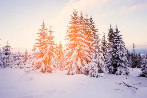 Fantastiskt Vinterlandskap Dramatisk Mulen Himmel Kreativt Collage Skönhetsvärlden — Stockfoto