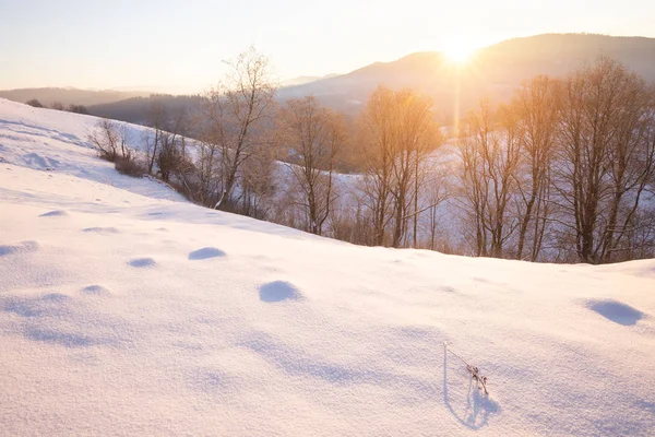 Fantastic Winter Landscape Dramatic Overcast Sky Creative Collage Beauty World — Stock Photo, Image