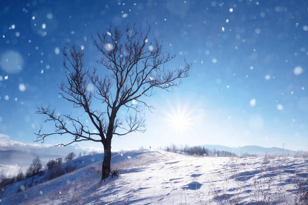 Fantastico Paesaggio Invernale Cielo Nuvoloso Drammatico Collage Creativo Mondo Della — Foto Stock