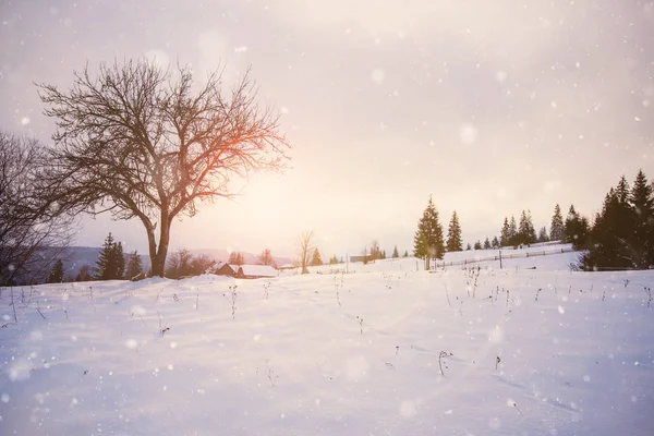 Fantastiskt Vinterlandskap Dramatisk Mulen Himmel Kreativt Collage Skönhetsvärlden — Stockfoto