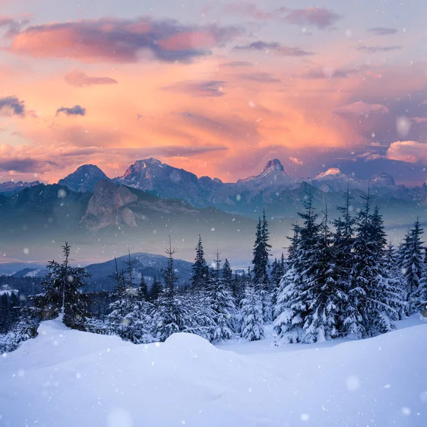 Fantastic Winter Landscape Dramatic Overcast Sky Creative Collage Beauty World — Stock Photo, Image