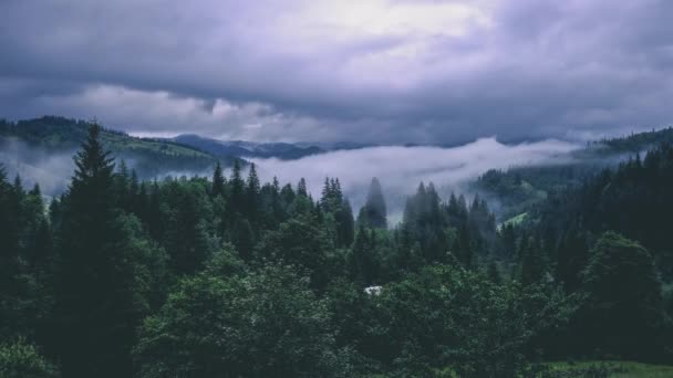 Filmy Poklatkowe Chmury Mgły Górskiej Dolinie — Wideo stockowe