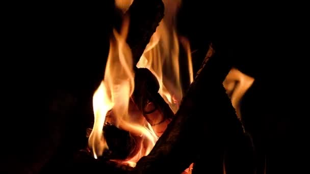 Cierre Fuego Ardiendo Chimenea Video Llamas Fuego Sobre Fondo Oscuro — Vídeos de Stock