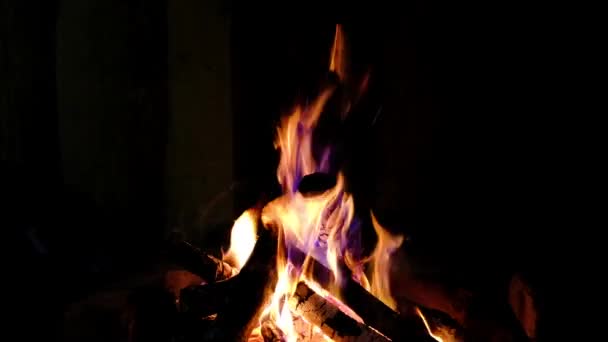 Cierre Fuego Ardiendo Chimenea Video Llamas Fuego Sobre Fondo Oscuro — Vídeos de Stock