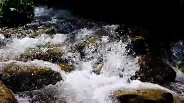 Pequeño Arroyo Montaña Cerca Vídeo Cámara Lenta — Vídeos de Stock