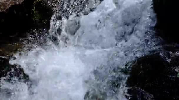 Μικρό Ορεινό Ρέμα Κοντινό Βίντεο Αργής Κίνησης — Αρχείο Βίντεο