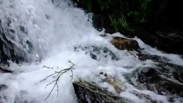 渓流は間近のスローモーション映像 — ストック動画