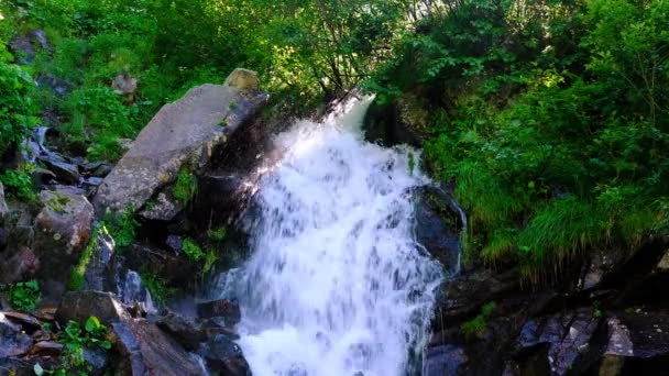 Mountain Waterfall Summer Green Forest — Stock Video