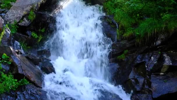 Bergwasserfall Sommergrünen Wald — Stockvideo