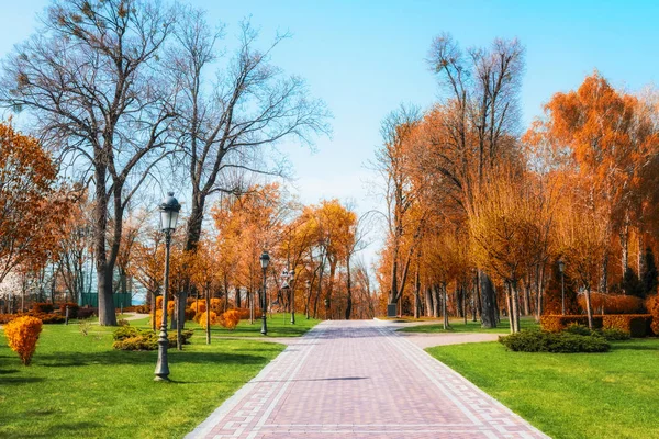 Herfst Kleuren Het Stadspark Gouden Herfst — Stockfoto