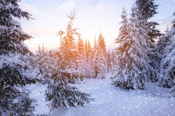 Karlı Kış Günü Dağ Hills Alp Dağları Ayaz Açık Sahne — Stok fotoğraf