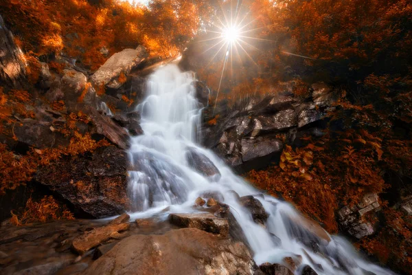 Belle Cascade Automne Forêt Avec Feuillage Doré Lumière Soleil — Photo