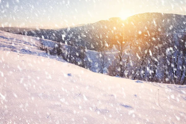 Día Invierno Nevado Las Colinas Montaña Escena Aire Libre Helada —  Fotos de Stock