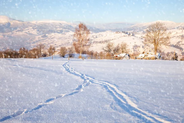 雪山的冬日 高山的寒冷的户外场面 新年喜庆的概念 艺术风格后处理照片 — 图库照片