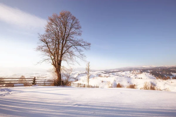 Snöig Vinterdag Berget Kullar Frostiga Utomhus Scen Alpine Bergen Gott — Stockfoto