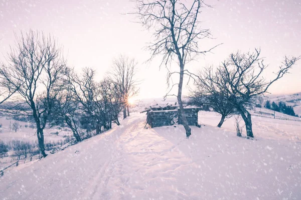 Día Invierno Nevado Las Colinas Montaña Escena Aire Libre Helada —  Fotos de Stock