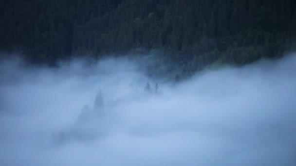 Nubes Lapso Tiempo Niebla Moviéndose Sobre Bosques Pinos Niebla Paisaje — Vídeos de Stock