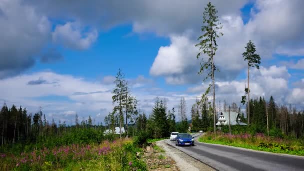 Carros Movendo Estrada Montanha Alpina Através Floresta Verão Timelapse Vídeo — Vídeo de Stock