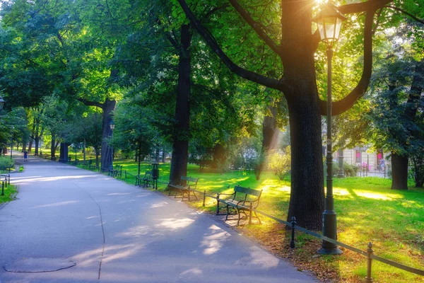 公园和娱乐区在城市 绿色草坪和树在晴朗的早晨 — 图库照片