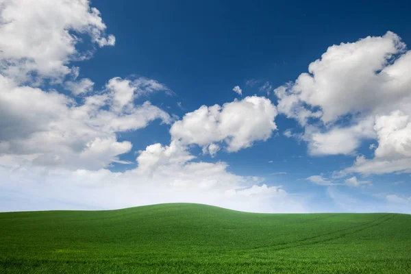 Campo Erba Verde Con Nuvole Bianche Nel Cielo Blu — Foto Stock