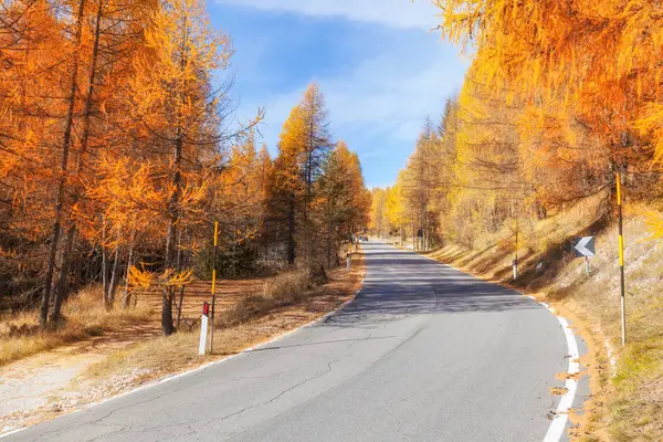 Φθινόπωρο Όμορφο Τοπίο Θέα Στο Βουνό Και Κίτρινα Δέντρα Δολομίτες — Φωτογραφία Αρχείου