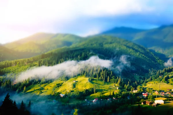 Schönen Sonnigen Tag Berg Sommer Landschaft Schönheit Sommer Natur Idyllische — Stockfoto