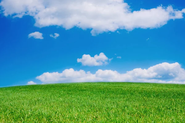 Зелене Трав Яне Поле Яскраво Синє Хмарне Небо Природа Фону — стокове фото