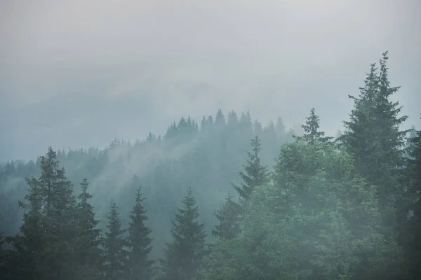 Green Mountain Forest Cloudy Rainy Dark Moody Weather — Stock Photo, Image