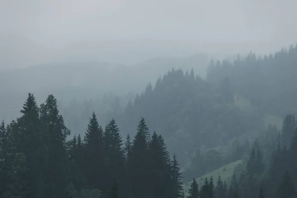 Yeşil Dağ Orman Havalarda Bulutlu Yağmurlu Karanlık Moody Dumanlı Dağları — Stok fotoğraf