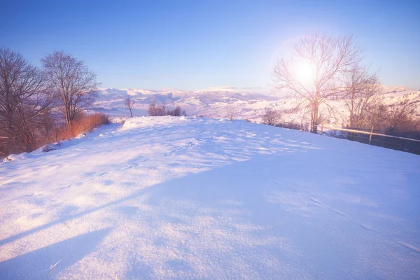 美丽的冬季自然景观 令人惊叹的日落山景色 风景秀丽的雪林地形象 寒冷的天气 超棒冬季壁纸 — 图库照片