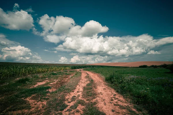 Caminho Rural Longo Sinuoso Atravessa Colinas Campos — Fotografia de Stock