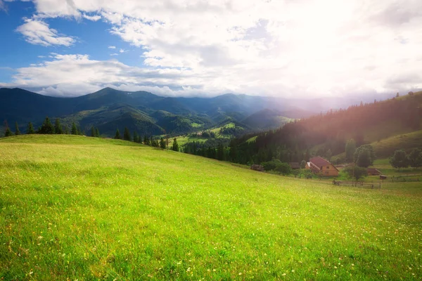 Feld Des Frühlings Gras Berg Hügel Bei Sonnigem Tag — Stockfoto