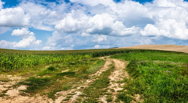 Lange Bochtige Landelijke Weg Kruist Heuvels Velden Panoramische Landschap Weergave — Stockfoto
